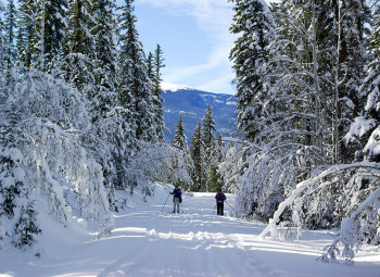 Snowboard, Ski & Snowshoe