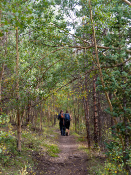 Hiking at Wheeler Geologic Area (photo by b4Studio) Hiking at Wheeler Geologic Area (photo by b4Studio)