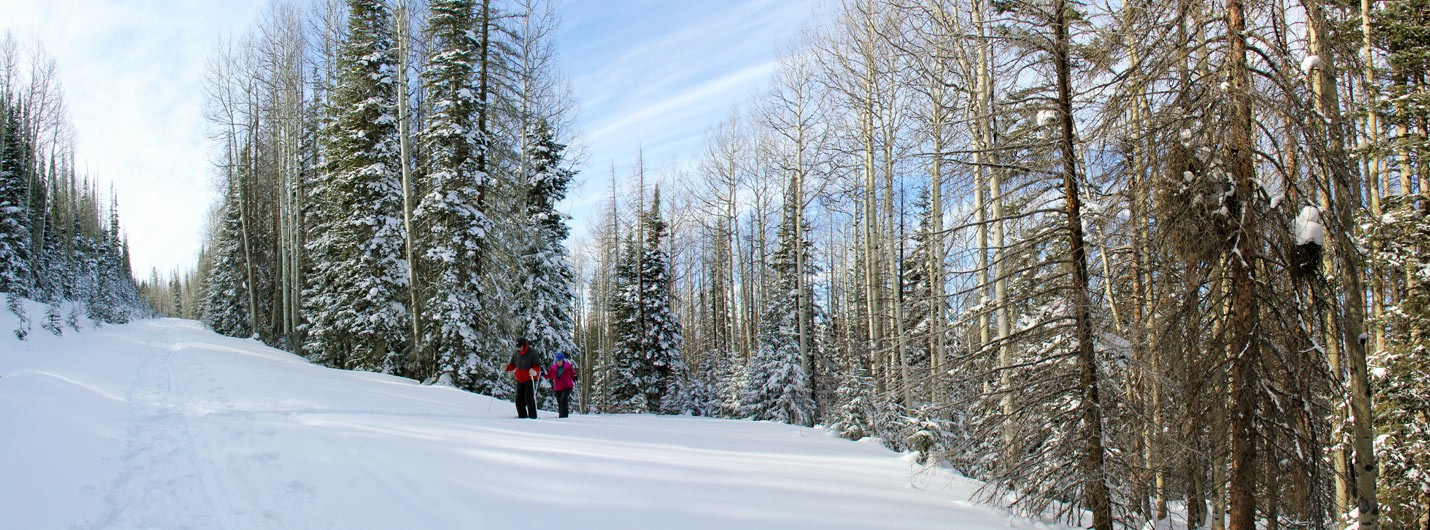 Snowshoing Lime Creek by Bob Seago