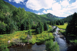Private creek fly fishing at 4UR Ranch (photo courtesy of 4UR Ranch) Private creek fly fishing at 4UR Ranch (photo courtesy of 4UR Ranch)