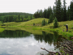 High Mountain Lake fishing near Spar City (photo by b4Studio)