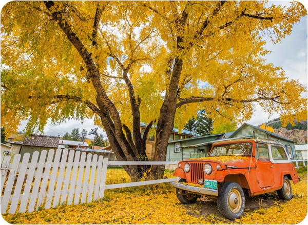 Downtown Creede Fall Colors (photo by Brandon Jennings)