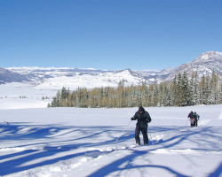 BobSeago Grandma s Meadow Snowshoeing IMGP5677