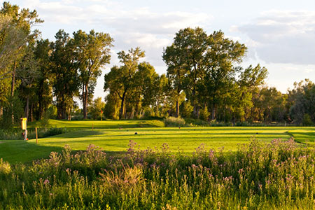 alamosa cattails golf 13