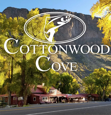 Cottonwood Cove Lodge